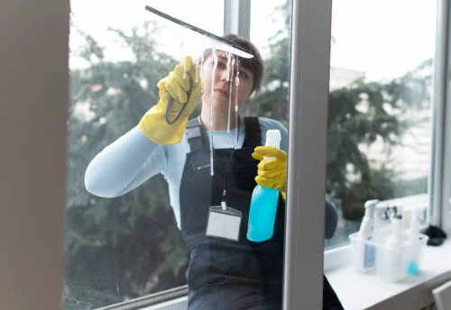 Nettoyage de vitres intérieures et extérieures à Beaumont-Pied-de-Bœuf